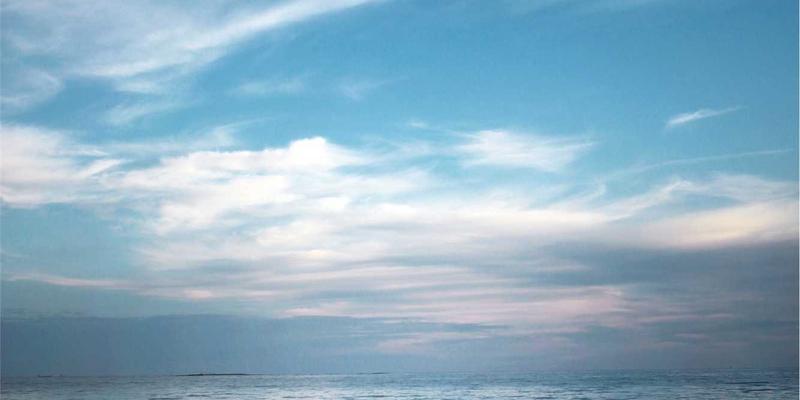 从0771到东盟：南宁企业出海的文化融合与商业成功指南