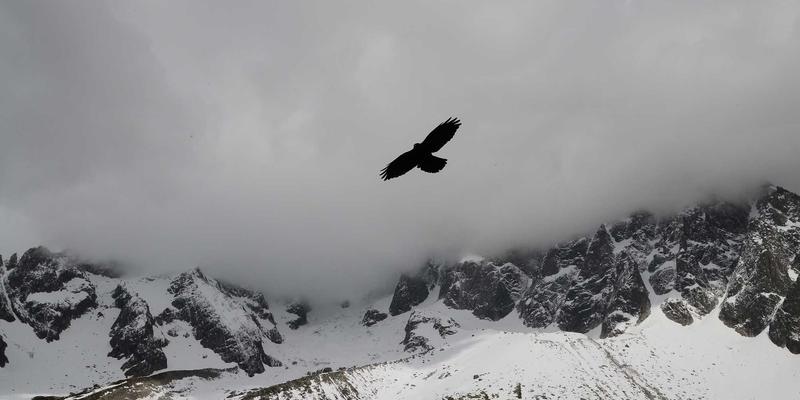 南宁商务人才争夺战:高端制造、数字经济与金融领域如何借力专业猎头破局