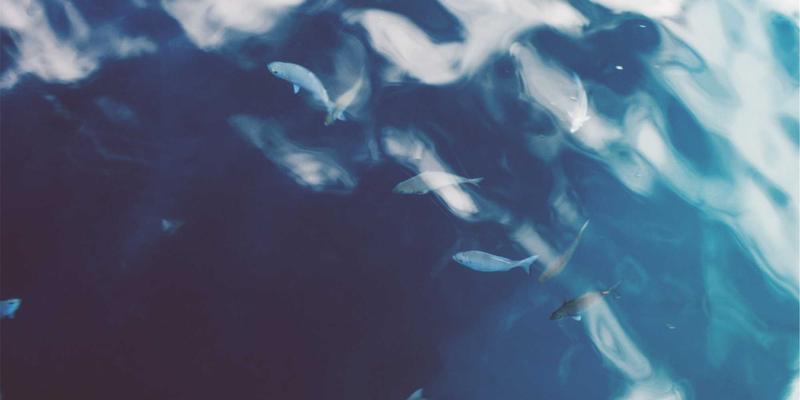 南宁商务成本全景图:写字楼租金、人力薪酬与公用事业费用深度解析