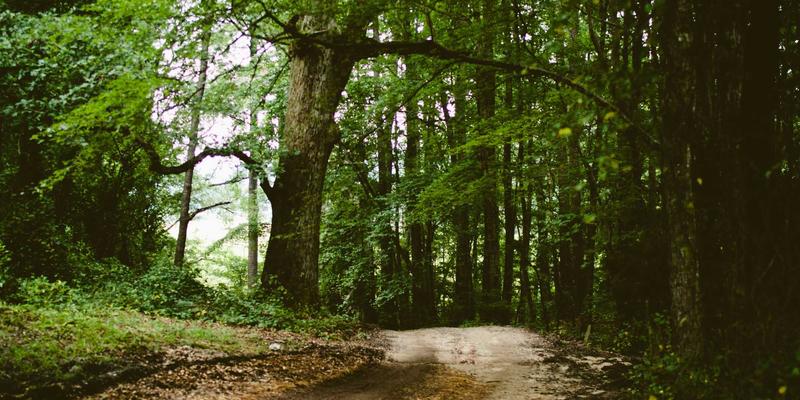 南宁商务接待全攻略:高端酒店与会议中心精选,助力0771商务高效落地