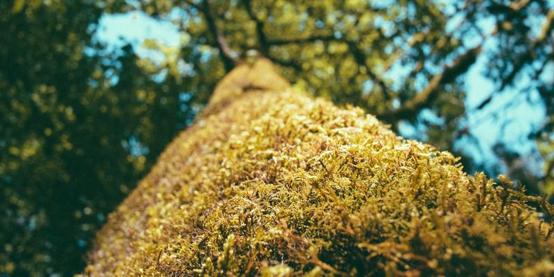 南宁商务楼宇智能化升级:洞察未来办公趋势,挖掘高潜力投资价值