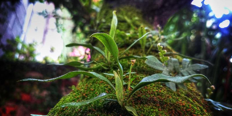 南宁商务考察新范式:三步打造高效东盟产业链与园区参访路线