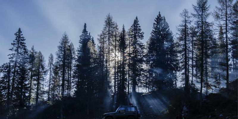 南宁商务英语培训市场深度调查：0771商务圈崛起背后的企业需求与机遇