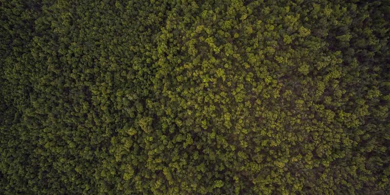 南宁国际会展全攻略：优选场地、专业服务与0771商务资源一站式解析